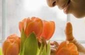 Hoe te doen herleven verwelkt tulpen