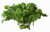 How to Cook Sweet Baby Broccoli