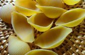 Soorten Pasta Shells