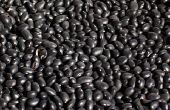Hoe om te drogen op een oogst van zwarte bonen