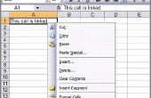 Hoe Link van een Excel-cel naar een Word-Document