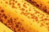 Hoe Vervang plantaardige olie voor het bakken van brood van de banaan