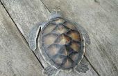 Gebruik van Turtle Shells