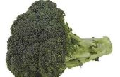 Hoe maak je Broccoli diep groen wanneer ik Cook It