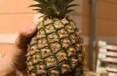 Hoe teken je een ananas