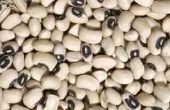 How to Cook droge Black Eyed Peas in een Crock Pot