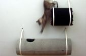 Methoden om te houden van een kat van klimmen meubilair