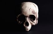 Wat Is de betekenis van schedels in Voodoo?