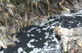 Soorten Water verontreinigende stoffen