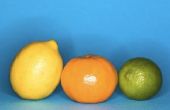 Het gebruik van citroenzuur in recepten