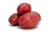 Hoe geroosterde rode aardappel op een bakplaat