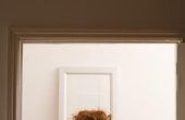 Hoe om te hangen van een frameloze deur spiegel