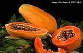 Het gebruik van Papaya om constipatie symptomen te verlichten