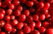 Hoe te vervangen door verse Cranberries voor gedroogd