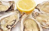 Hoe stoom ontdane oesters