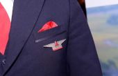 Delta luchtvaartmaatschappij stewardess opleiding