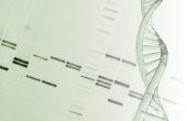 De voordelen & nadelen van de Elektroforese van het Gel voor DNA-vingerafdrukken