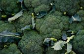 Broccoli: De serieuze speler In producten