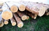 Wat voor soort hout moet worden gebruikt in een aanhangwagen?