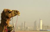 Toeristische gids naar Dubai, Verenigde Arabische Emiraten