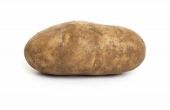 Wat zijn de beste aardappelen voor aardappelpuree?