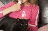Home Remedies voor een overbelaste 3-weken oude Kitten