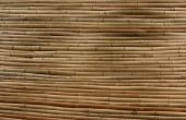 Hoe om te boren van bamboe