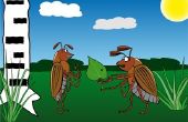 Hoe te overwinnen angst voor kakkerlakken