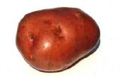 Rode huid aardappelpuree