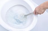 Kunt u een wc-pot met gewoon bleekwater schoon?