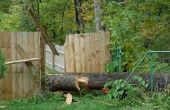 Hoe te repareren van een houten hek Privacy
