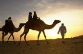 Feiten over de mensen in de Arabische woestijn