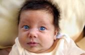 Zwarte & wit baby stimulatie kaarten & cognitieve ontwikkeling