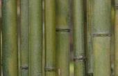 Hoe zand bamboe palen