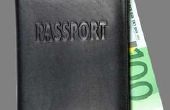 Het vernieuwen van een Chileense paspoort in de VS