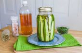 Hoe maak je Dille Pickles: een eenvoudig Canning recept