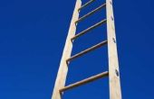 Leer kinderen LCM & GCF met de Ladder methode