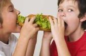 Wat vinger voedsel werk Best met een Sub Sandwich als het belangrijkste voedsel?