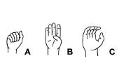 Hoe om te leren van zinnen in gebarentaal