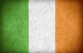 Kenmerken van Ierse afkomst