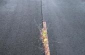 How to Kill onkruid groeit via asfalt