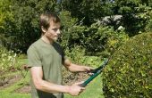 Hoe te dekken voor lawaai barrières in een kleine tuin