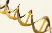 Hoe te het Label van een DNA-structuur