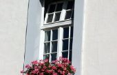 Zon & droogte-resistente venster in bloemen
