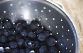 Hoe maak je zelfgemaakte Blueberry Pie vulling