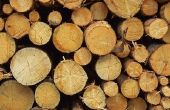 Hoe te genezen van Logboeken voor een Log Home