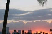 Top 10 attracties in Miami