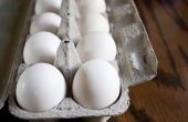 Hoe bewaart u gekookte eieren