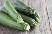 How to Grow courgette