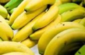 De projecten van de wetenschap van de banaan